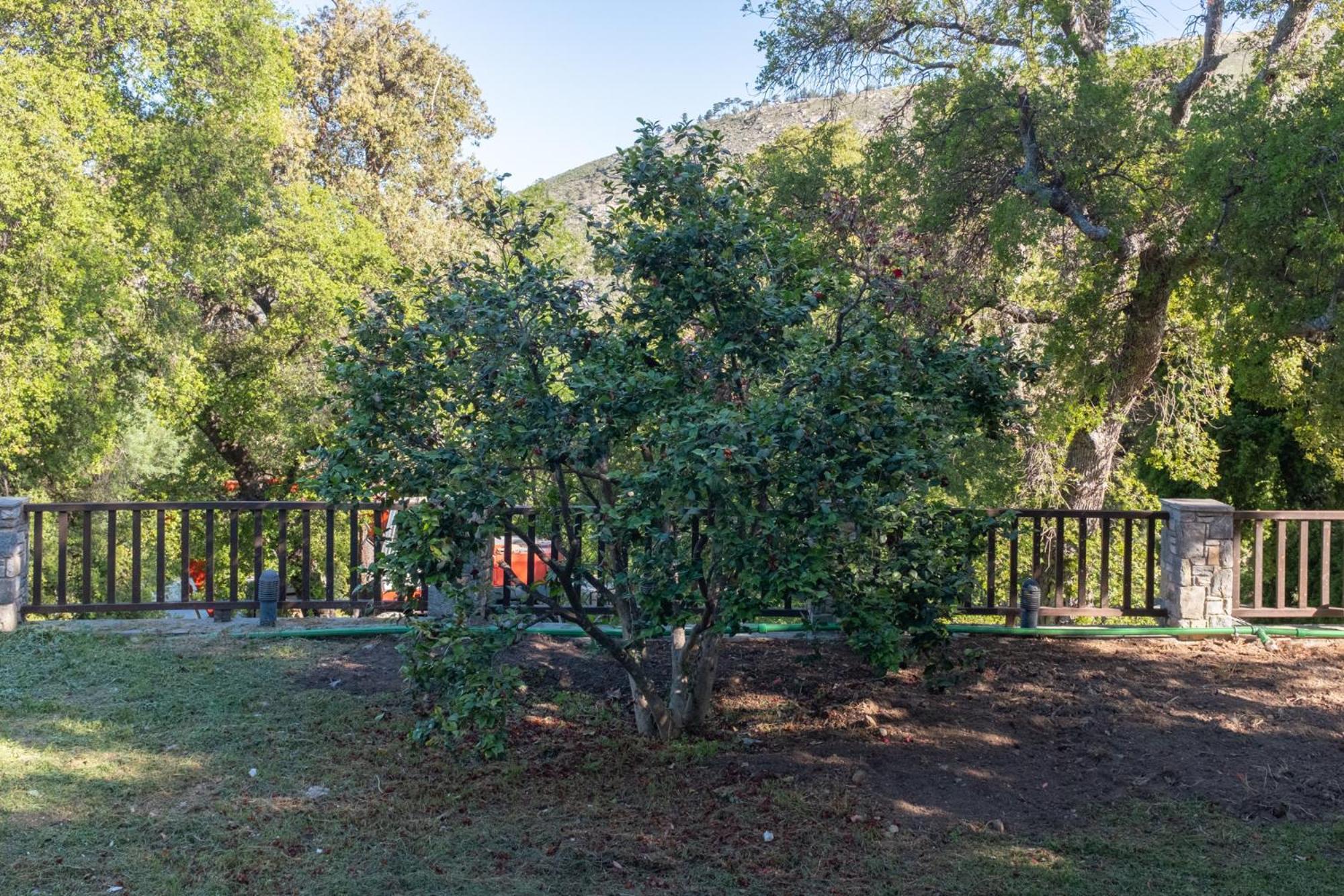 Doctors' House Mikros Prinos Villa Exterior photo